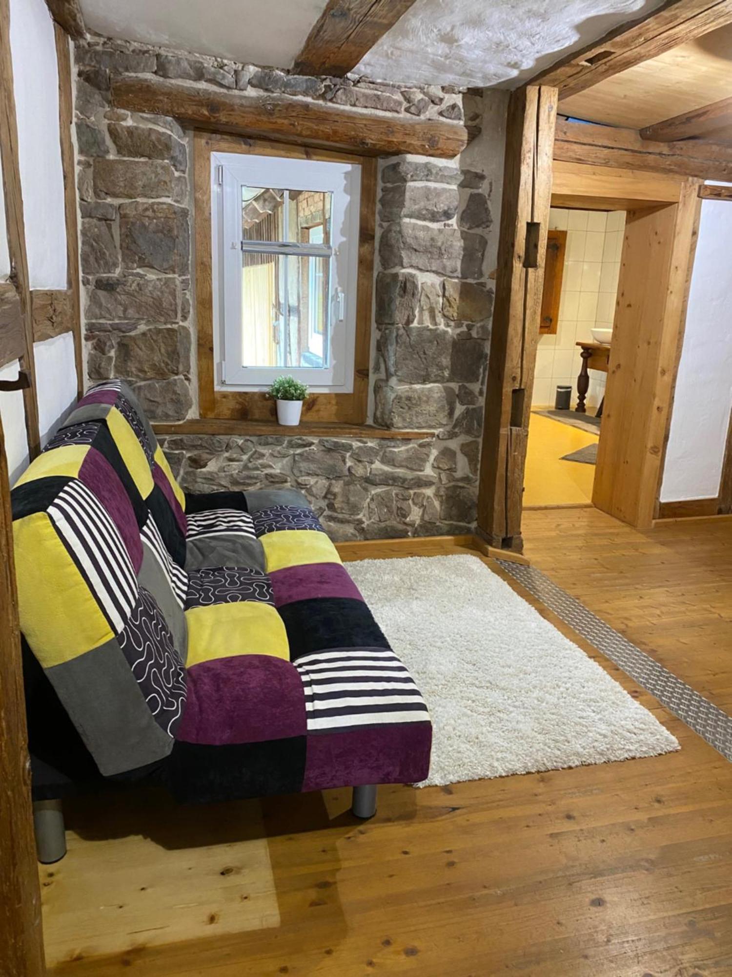 フィリンゲン・シュヴェニンゲンSchwarzwald - Ferienhaus In Tannheimアパートメント エクステリア 写真